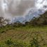  Terreno (Parcela) en venta en Sasaima, Cundinamarca, Sasaima