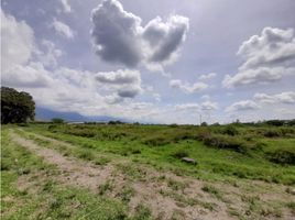  Land for sale in El Cerrito, Valle Del Cauca, El Cerrito