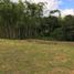  Land for sale in Pereira, Risaralda, Pereira