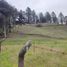 Studio House for sale in Guarne, Antioquia, Guarne