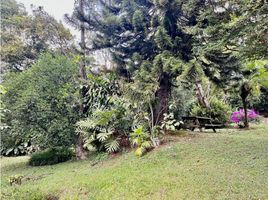 Maison 4 chambre à vendre à Medellin, Antioquia, Medellin, Antioquia