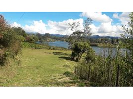  Land for sale in Penol, Antioquia, Penol