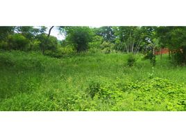  Land for sale in Magdalena, Santa Marta, Magdalena