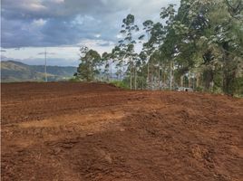  Grundstück zu verkaufen in Santa Rosa De Cabal, Risaralda, Santa Rosa De Cabal