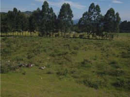  Terreno (Parcela) en venta en Los Patios, Norte De Santander, Los Patios