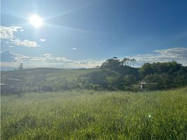  Terreno (Parcela) en venta en Quindio, Salento, Quindio