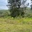  Land for sale in Jamundi, Valle Del Cauca, Jamundi