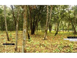  Land for sale in Anapoima, Cundinamarca, Anapoima