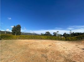  Terreno (Parcela) en venta en Guarne, Antioquia, Guarne