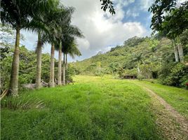  Terreno (Parcela) en venta en Armenia, Quindio, Armenia