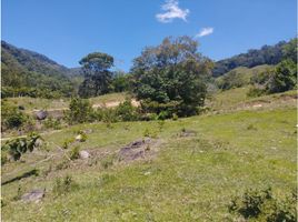  Land for sale in San Rafael, Antioquia, San Rafael