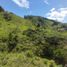  Land for sale in San Rafael, Antioquia, San Rafael