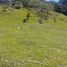  Land for sale in San Rafael, Antioquia, San Rafael