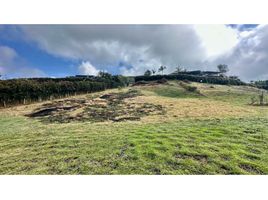  Terreno (Parcela) en venta en Marinilla, Antioquia, Marinilla