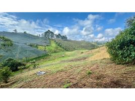  Terreno (Parcela) en venta en Marinilla, Antioquia, Marinilla