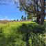  Land for sale in Rionegro, Antioquia, Rionegro