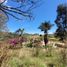  Land for sale in Rionegro, Antioquia, Rionegro