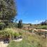  Land for sale in Rionegro, Antioquia, Rionegro