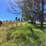  Land for sale in Rionegro, Antioquia, Rionegro