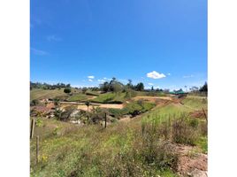  Land for sale in Rionegro, Antioquia, Rionegro
