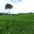  Land for sale in Valle Del Cauca, Ulloa, Valle Del Cauca