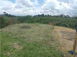  Terreno (Parcela) en venta en Ulloa, Valle Del Cauca, Ulloa