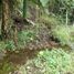  Land for sale in Valle Del Cauca, Ulloa, Valle Del Cauca