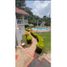 8 Bedroom House for sale in Tibacuy Cundinamarca, Tibacuy