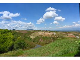  Land for sale in Pereira, Risaralda, Pereira