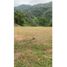  Land for sale in San Jeronimo, Antioquia, San Jeronimo