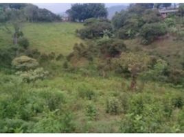  Land for sale in San Vicente, Antioquia, San Vicente