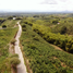 20 Bedroom House for sale in Alcala, Valle Del Cauca, Alcala