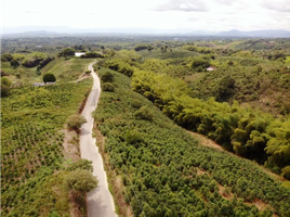 20 Habitación Casa en venta en Alcala, Valle Del Cauca, Alcala