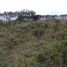  Land for sale in San Roque, Antioquia, San Roque