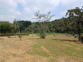  Terreno (Parcela) en venta en El Carmen De Viboral, Antioquia, El Carmen De Viboral