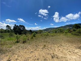  Terreno (Parcela) en venta en El Carmen De Viboral, Antioquia, El Carmen De Viboral