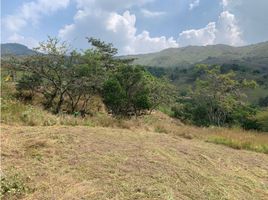  Terreno (Parcela) en venta en Yumbo, Valle Del Cauca, Yumbo