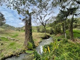 6 Schlafzimmer Villa zu verkaufen in La Ceja, Antioquia, La Ceja