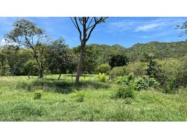  Land for sale in Santa Fe De Antioquia, Antioquia, Santa Fe De Antioquia, Antioquia