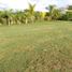  Land for sale in Santa Rosa, Bolivar, Santa Rosa