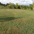  Land for sale in Santa Rosa, Bolivar, Santa Rosa