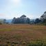  Terreno (Parcela) en venta en La Ceja, Antioquia, La Ceja, Antioquia