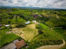  Terreno (Parcela) en venta en Ulloa, Valle Del Cauca, Ulloa