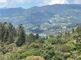  Land for sale in Retiro, Antioquia, Retiro