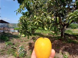  Terreno (Parcela) en venta en La Mesa, Cundinamarca, La Mesa