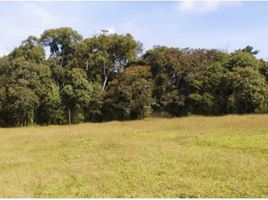  Terreno (Parcela) en venta en La Ceja, Antioquia, La Ceja