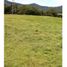  Land for sale in La Ceja, Antioquia, La Ceja