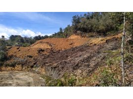  Terreno (Parcela) en venta en Guarne, Antioquia, Guarne
