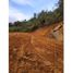  Terreno (Parcela) en venta en Guarne, Antioquia, Guarne