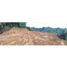  Terreno (Parcela) en venta en Guarne, Antioquia, Guarne